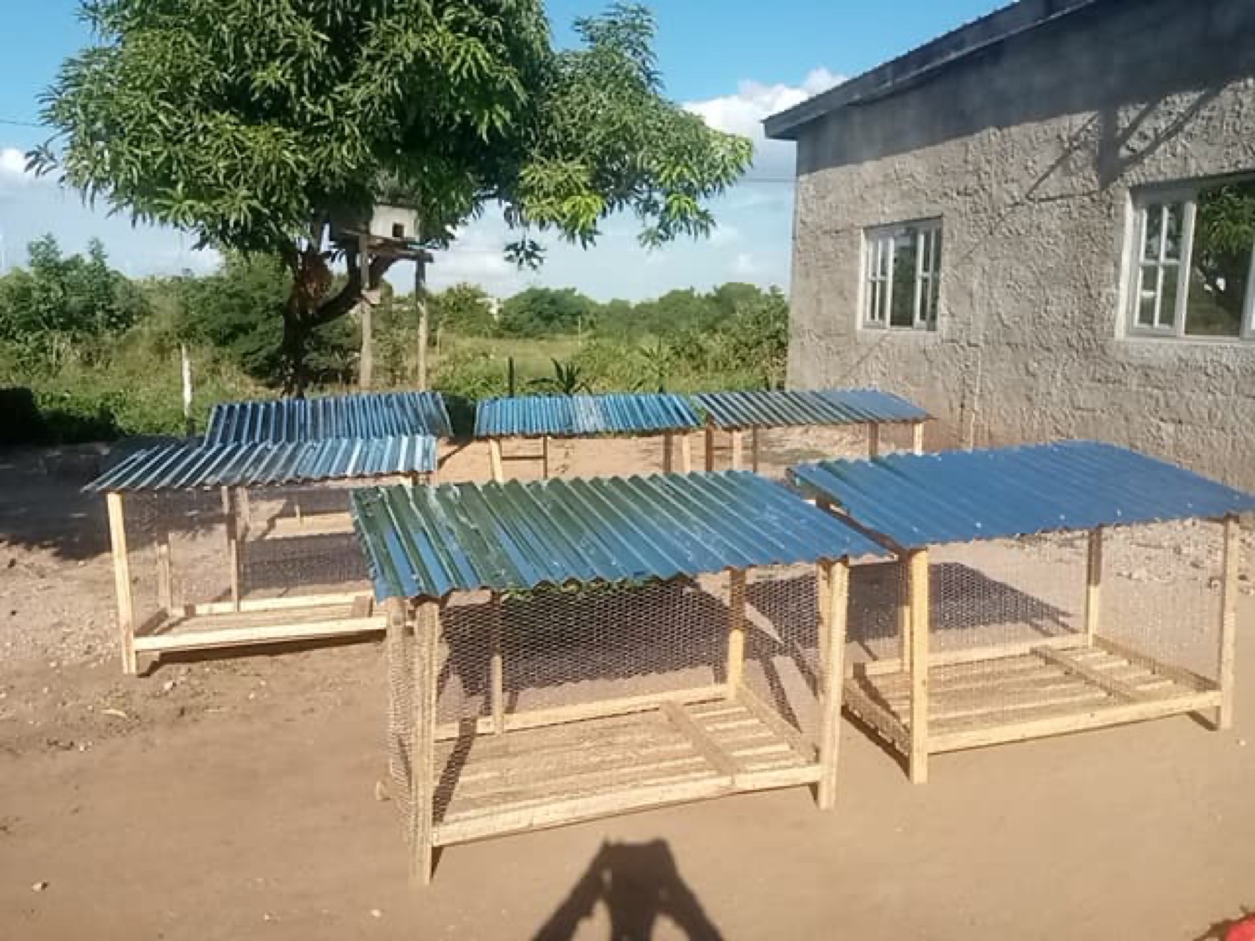 Chicken coops built to support a sustainable poultry project.