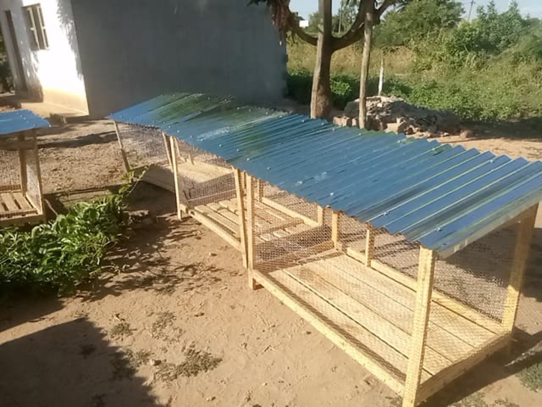 Additional coops prepared for chickens and egg production.