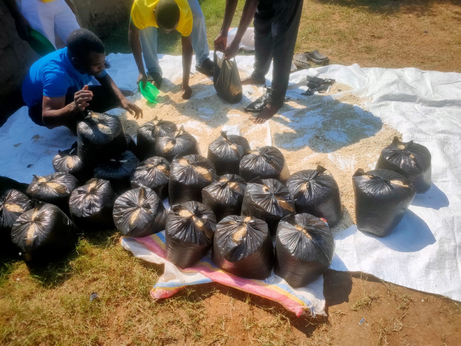 Chicken feed being measured and packed into bags for the poultry project in Mozambique