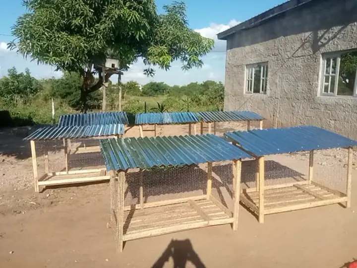 Chicken coops built to support a sustainable poultry project.