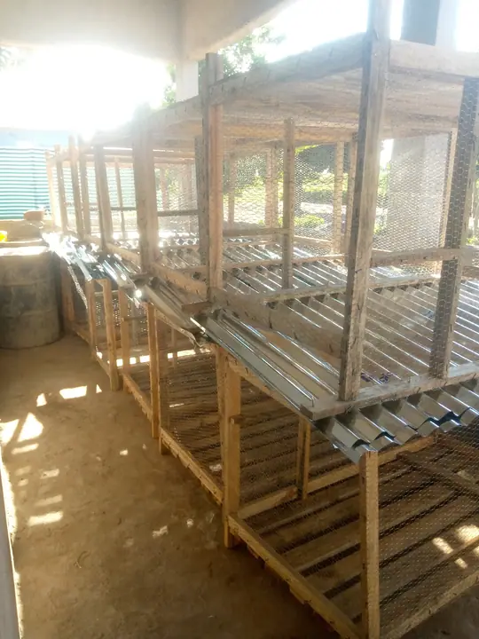 Locally built poultry housing ready for use.