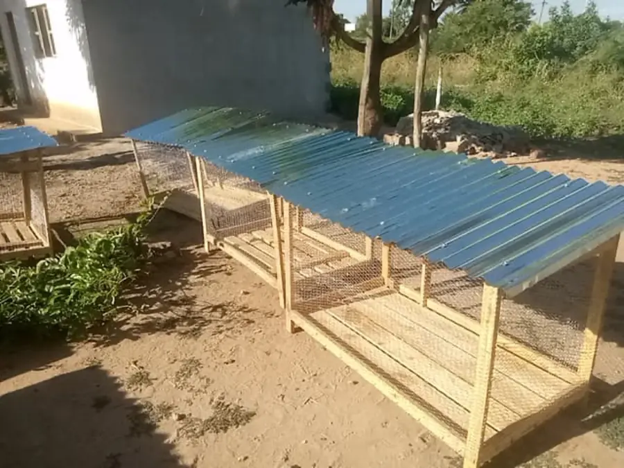 Área de criação de galinhas do projeto missionário em Moçambique