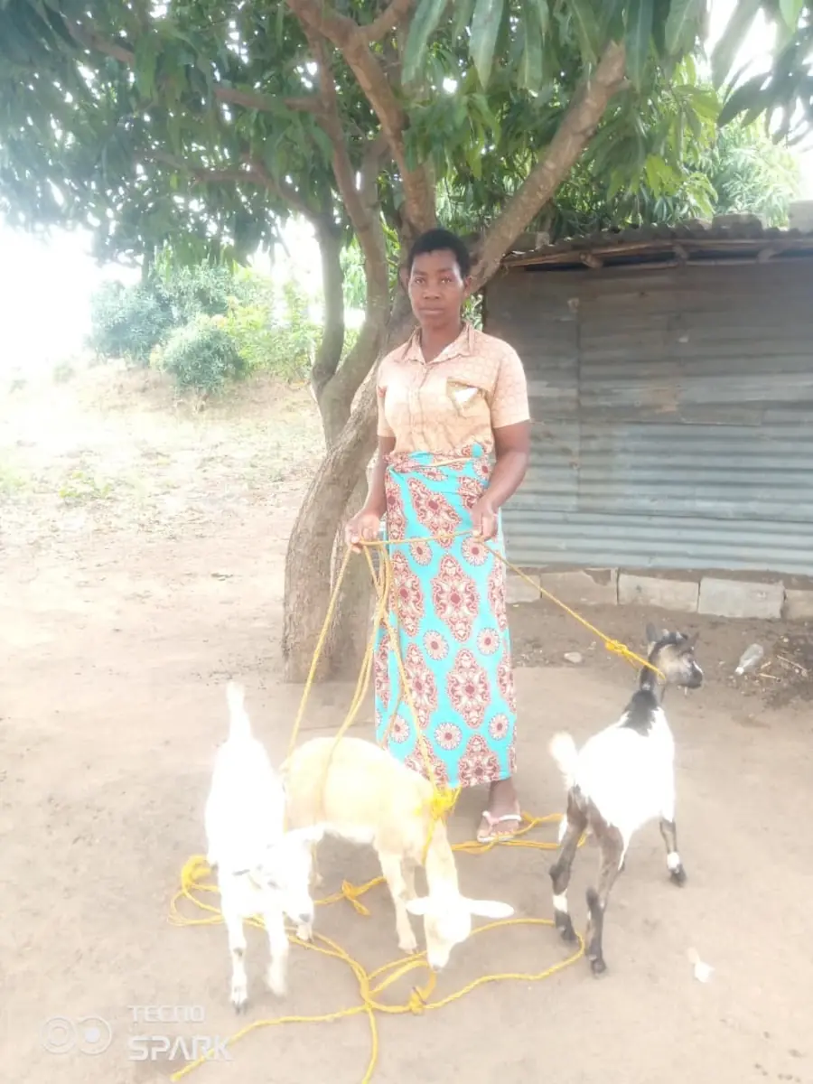Criação local registrada durante o trabalho missionário em Moçambique